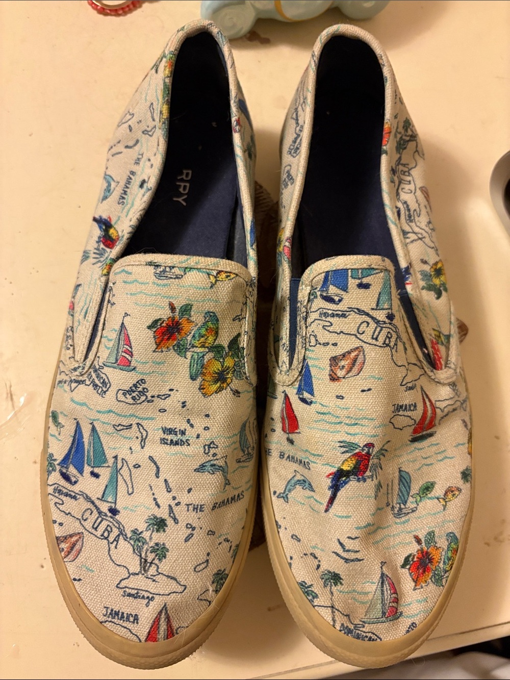 Sperry Seaside Novelty Slip On Canvas Sneakers
